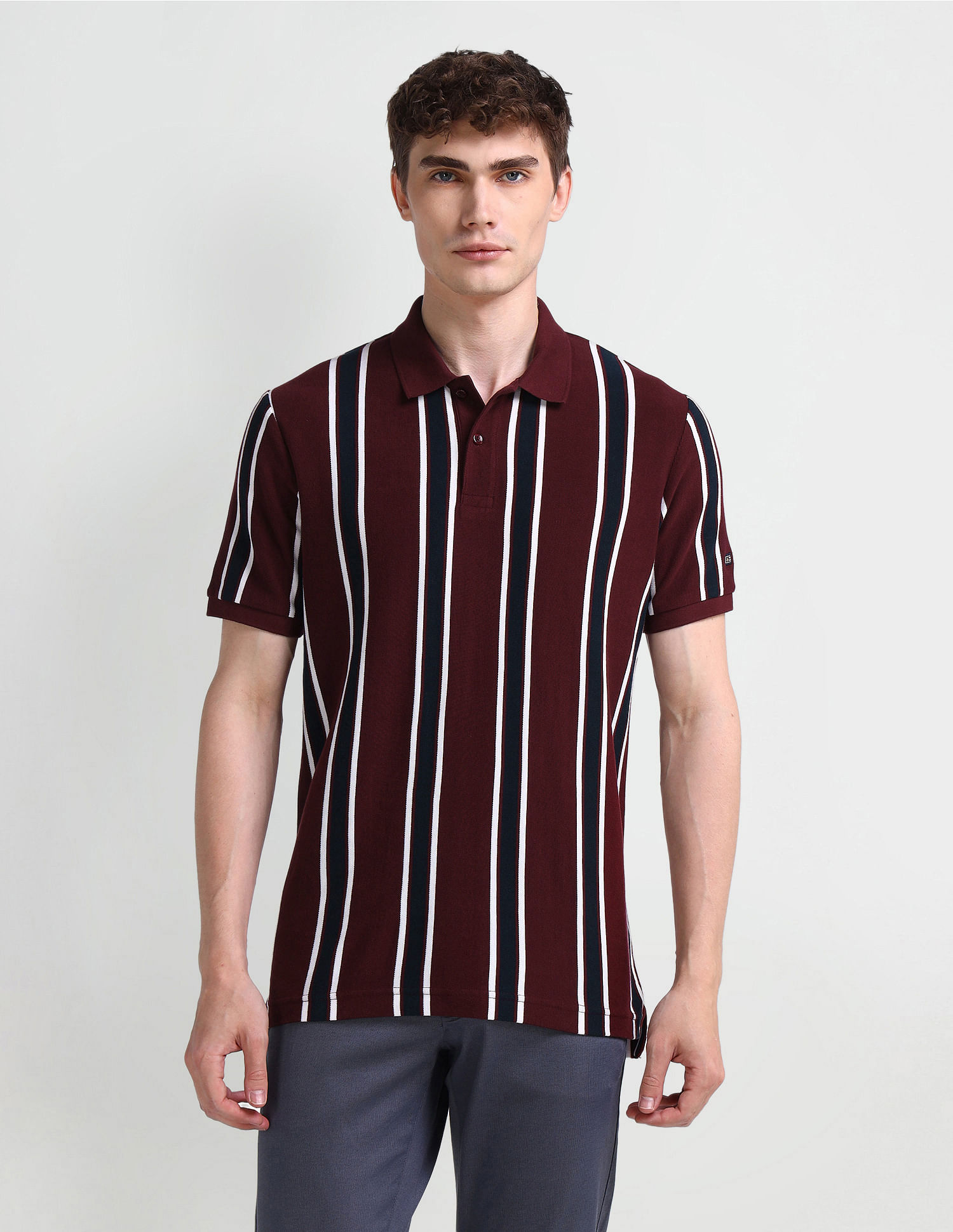 Arrow Sport Vertical Striped Regular Polo Shirt