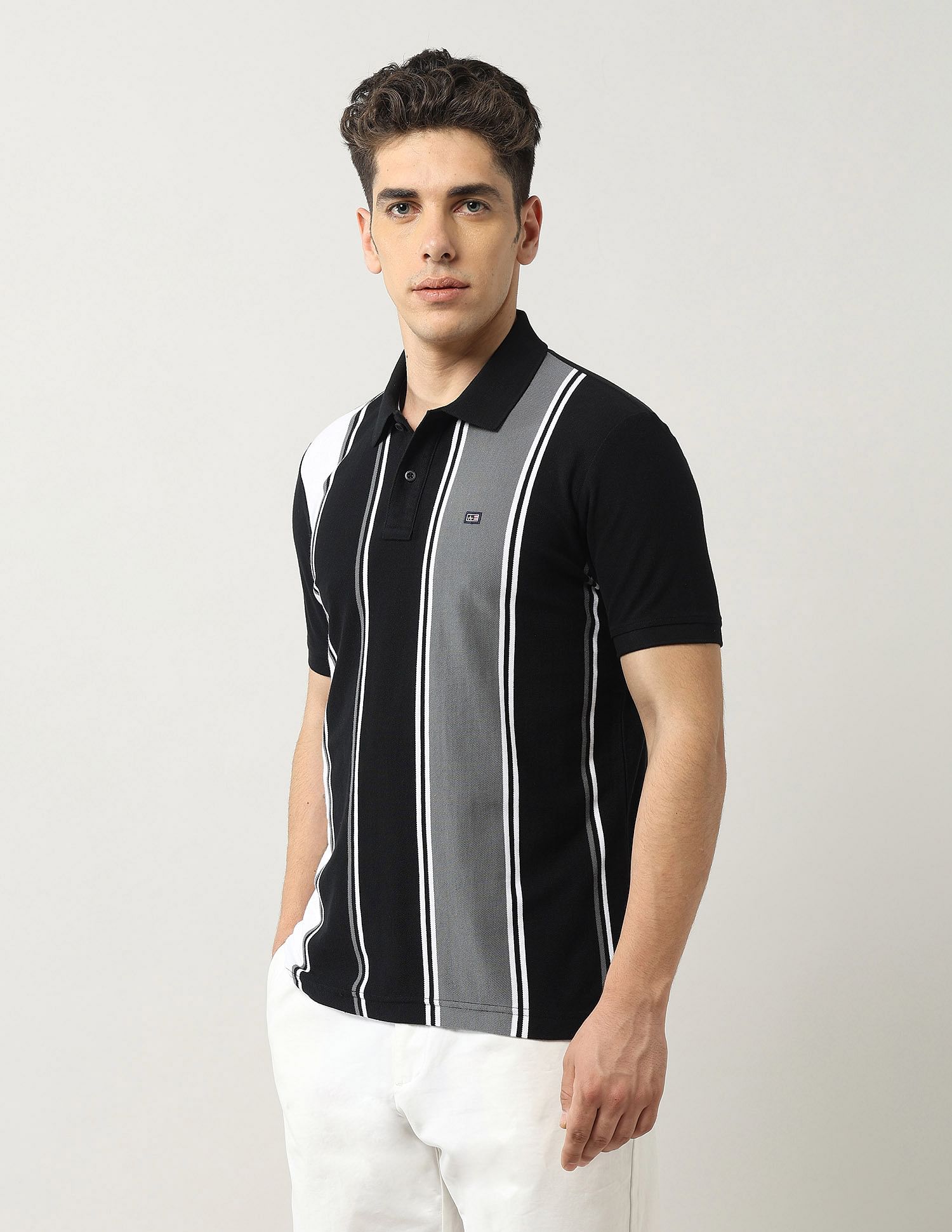 Arrow Sport Vertical Striped Regular Fit Polo Shirt