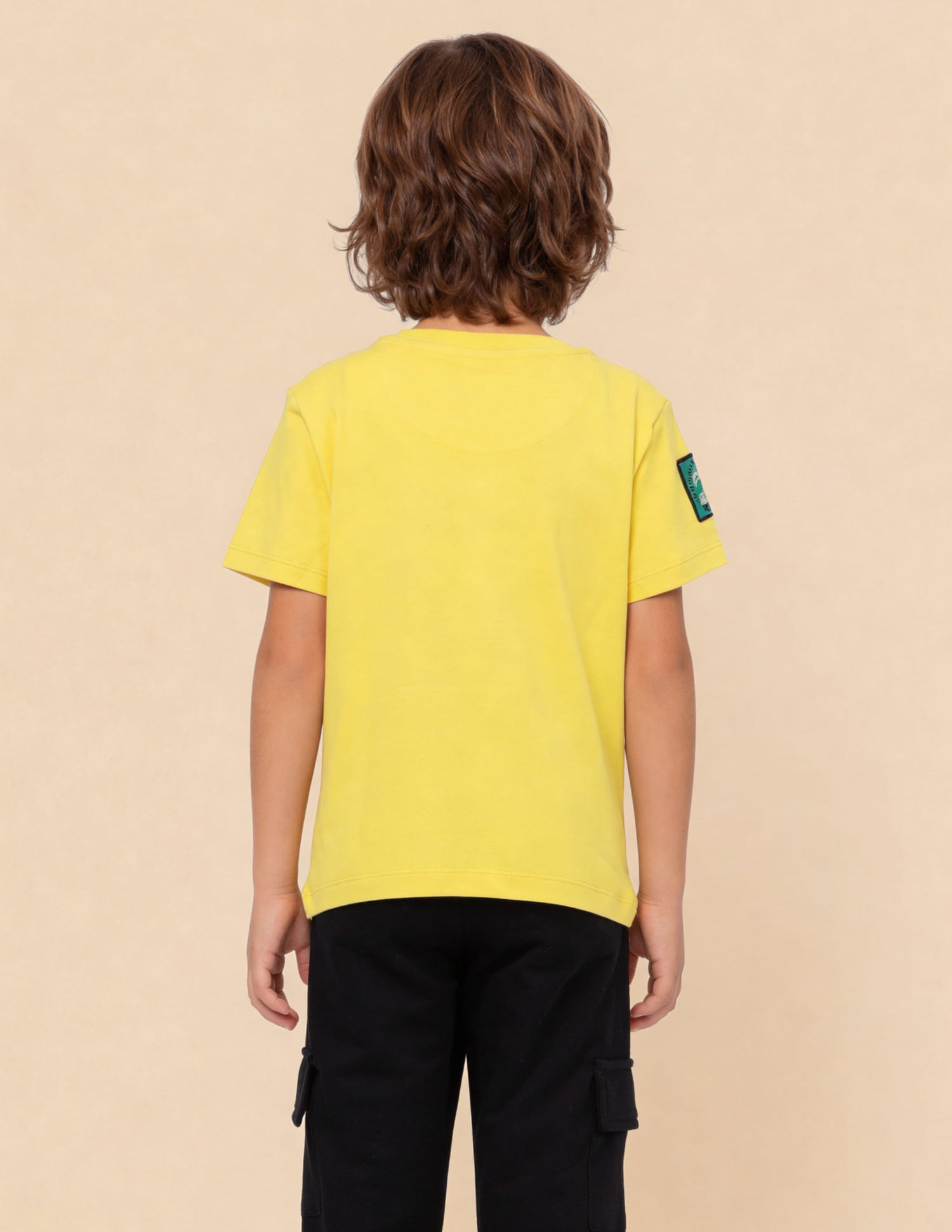 Buy U.S. Polo Assn. Kids Graphic Brand Applique Regular Fit T