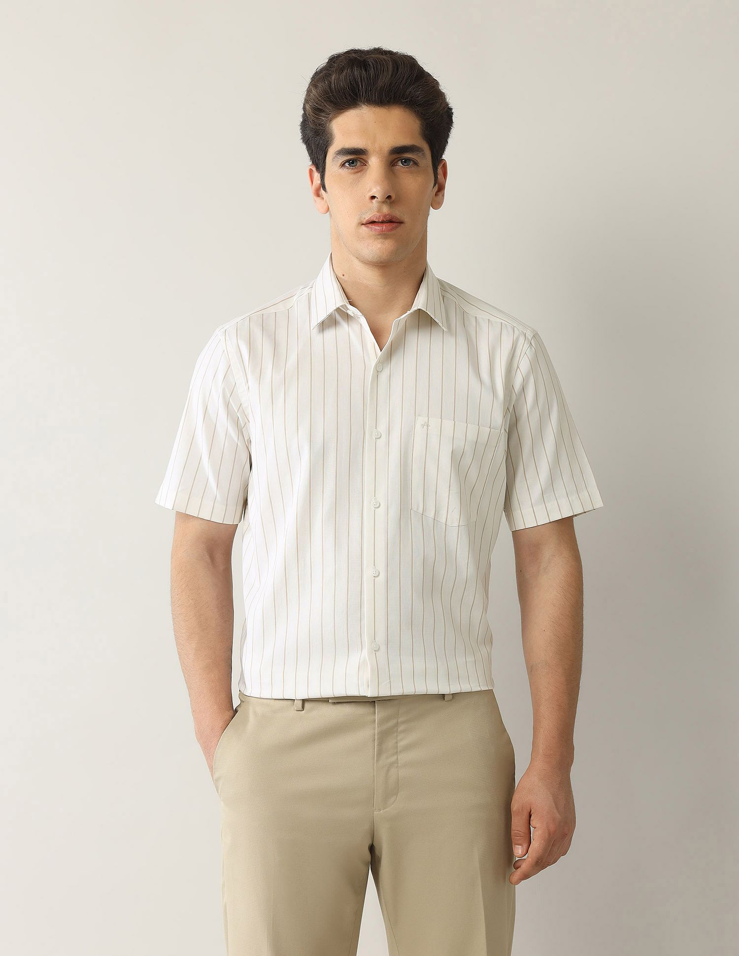 Arrow Vertical Striped Liberty Classic Fit Shirt