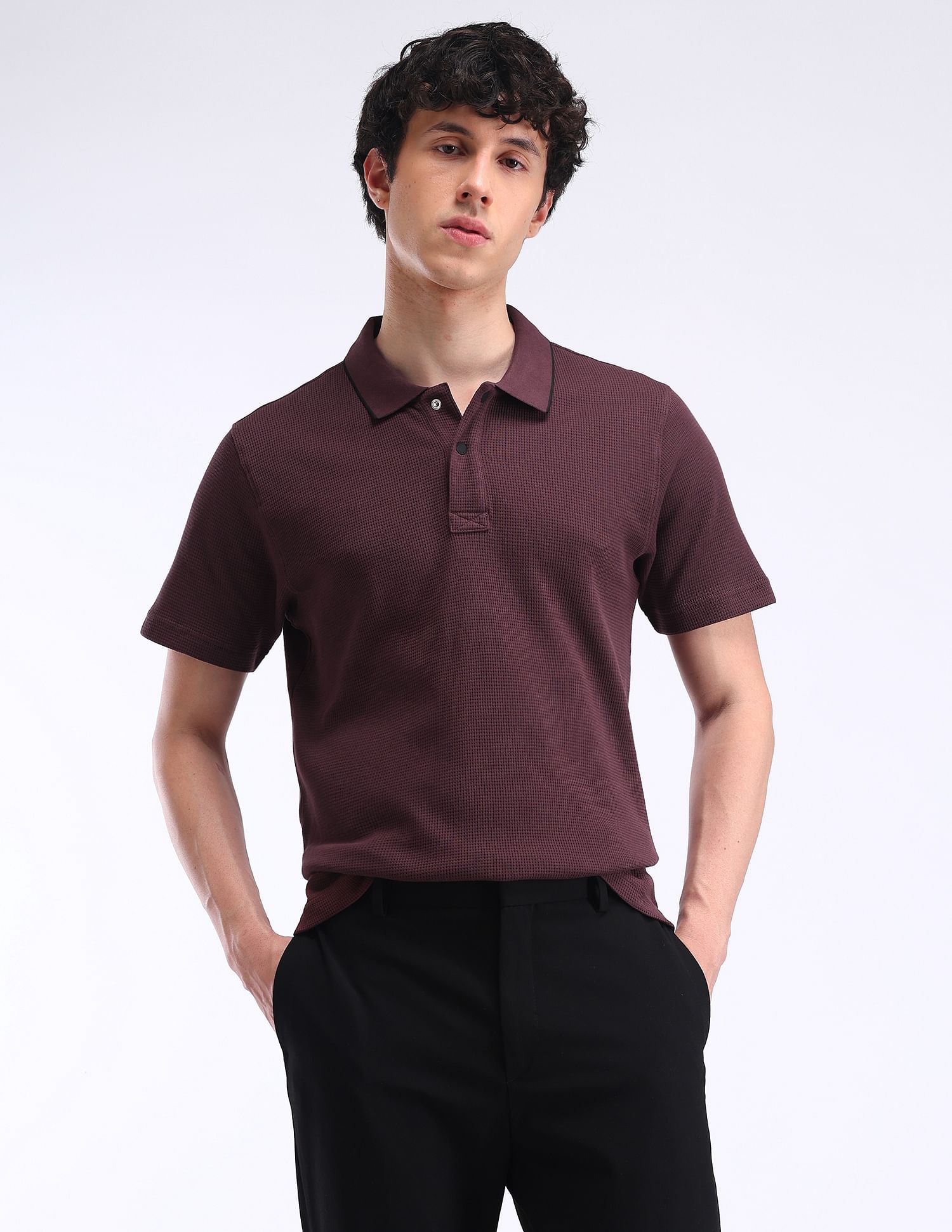 Flying Machine Solid Regular Fit Polo Shirt