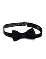 Arrow Men Pre Tied Velvet Bow Tie