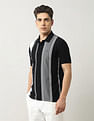 Arrow Sport Vertical Striped Regular Fit Polo Shirt