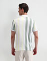 Arrow Sport Vertical Striped Regular Polo Shirt