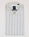 Arrow Vertical Striped Liberty Classic Fit Shirt