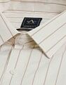 Arrow Vertical Striped Liberty Classic Fit Shirt