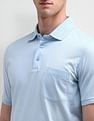 Arrow Regular Solid Polo Shirt