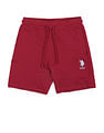 U.S. Polo Assn. Kids Boys Pure Cotton Mid Rise Shorts