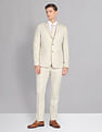 AD by Arvind Tailored Regular Fit Patterned Two Piece Suit