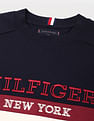 Tommy Hilfiger Regular Fit Colourblocked Sweatshirt