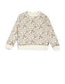 U.S. Polo Assn. Kids Boys Graphic Printed Cotton Sweatshirt