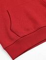 Tommy Hilfiger Regular Fit Linear Hooded Sweatshirt